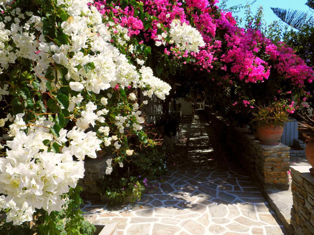 Dimitra Studios Кастраки Номер фото