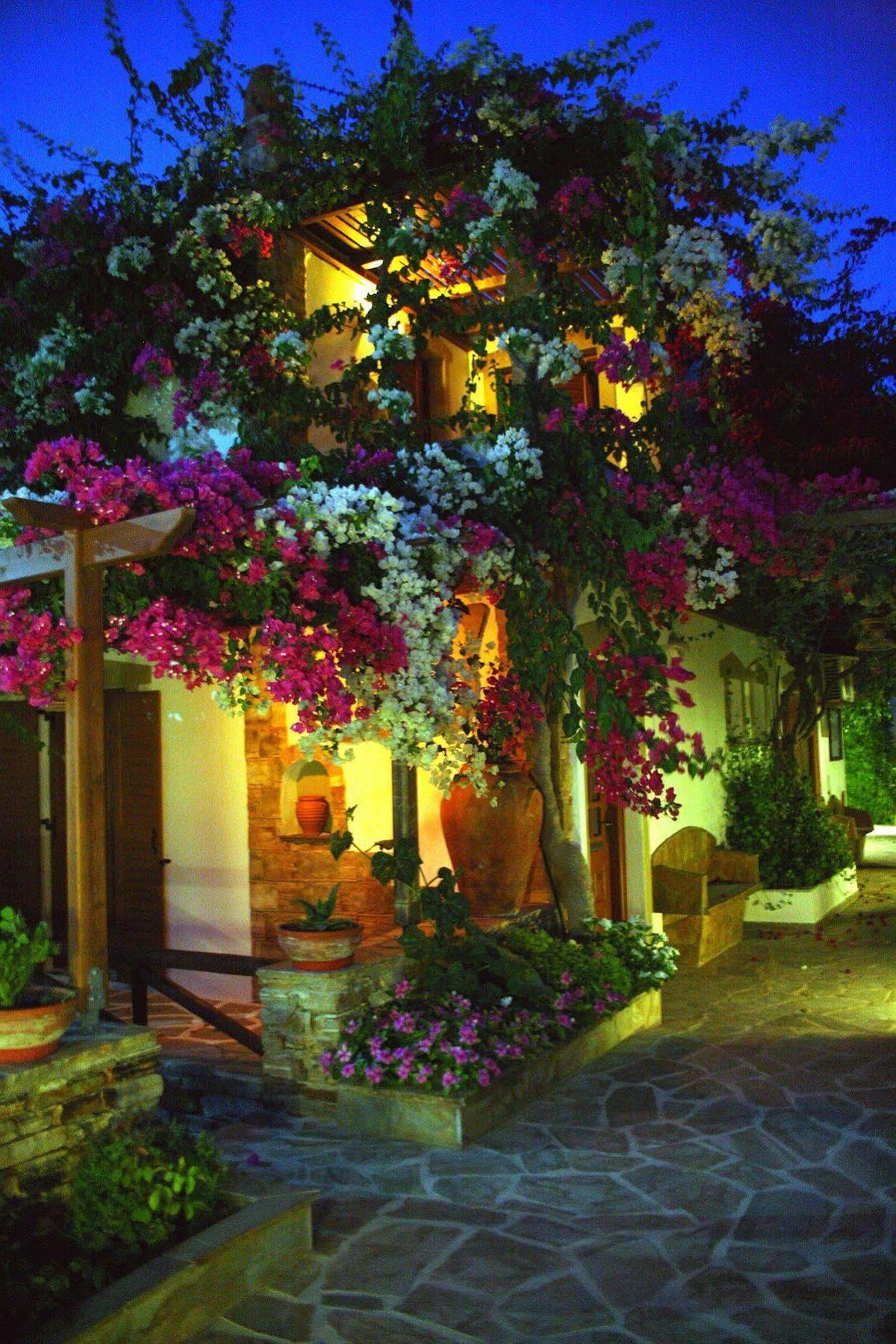 Dimitra Studios Кастраки Экстерьер фото